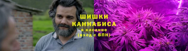 первитин Ельня