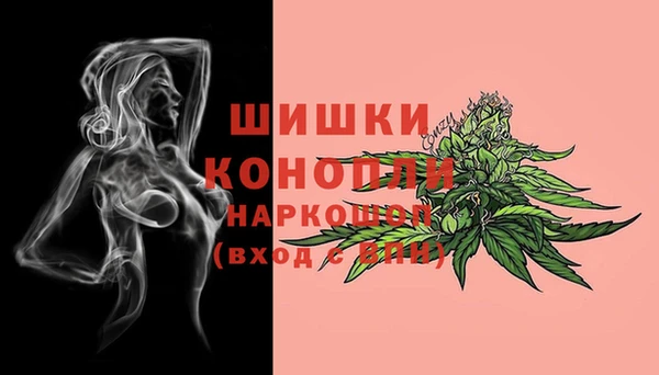 первитин Ельня