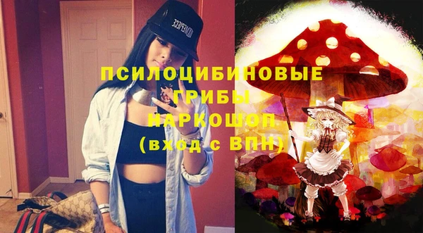 синтетический гашиш Елизово