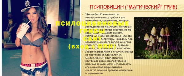 синтетический гашиш Елизово