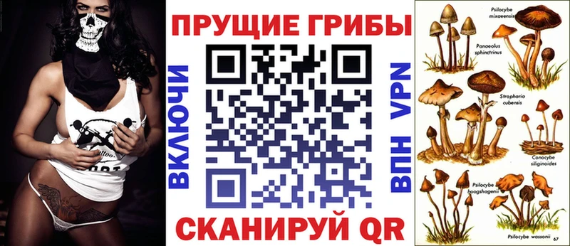 Псилоцибиновые грибы Magic Shrooms  Купить закладки  Белово 